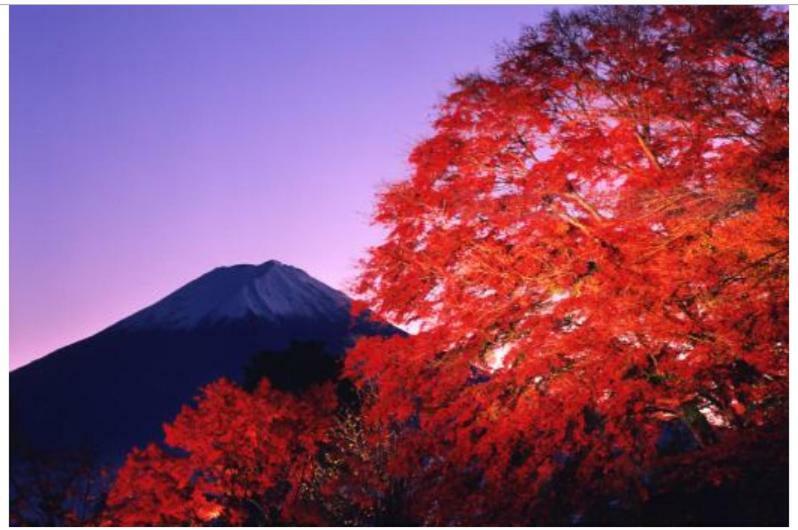 Erable Mt.Fuji "Kaze" Fujikawaguchiko Exterior foto